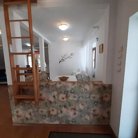 Casa Olguta * سِنايا