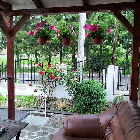 Casa Olguta