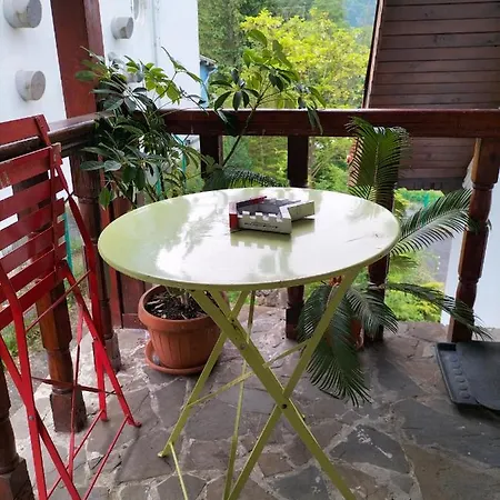 Casa Olguta * سِنايا