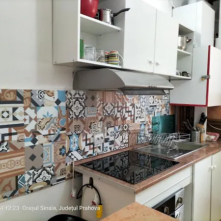 Casa Olguta شقة سِنايا