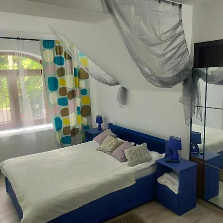 Casa Olguta شقة سِنايا