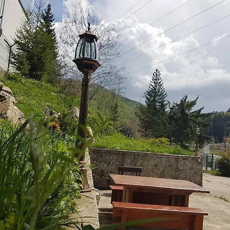 Casa Olguta *