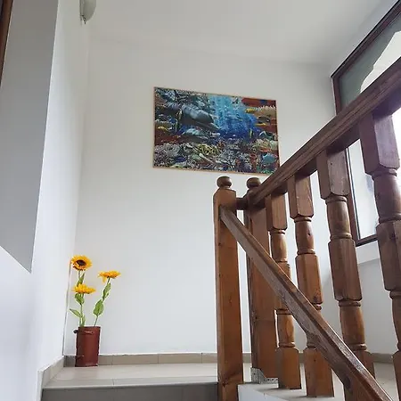شقة Casa Olguta سِنايا